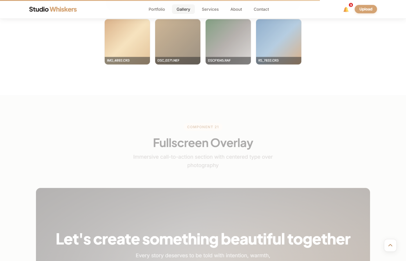 Studio Whiskers preview 5